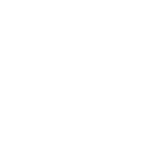 Northern Nights Logo